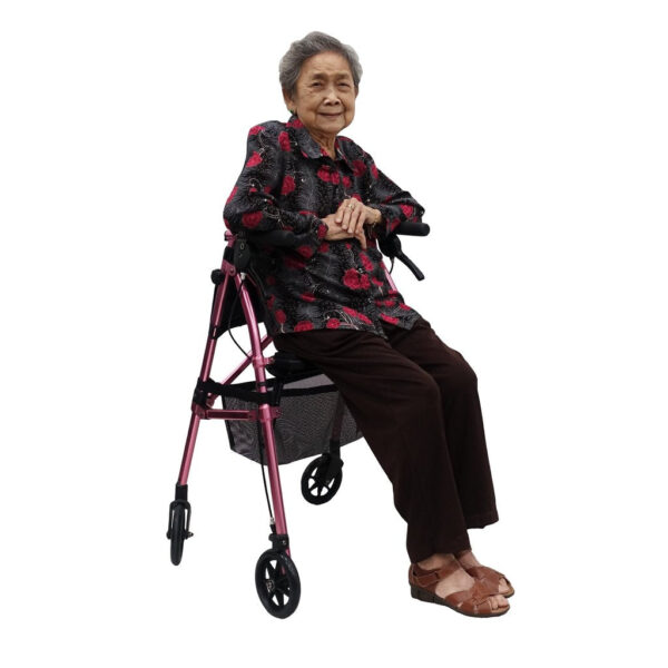 EZ Fold-N-Go Rollator (Black Walnut) - Image 7